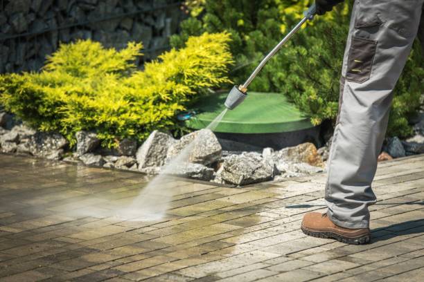 Animal Enclosure Cleaning in Pecan Acres, TX